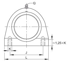 直立式軸承座單元 PSHE45-TV-FA125.5, 塑料軸承座，帶偏心鎖圈的外球面球軸承，帶 Corrotect? 涂層，P型密封