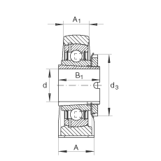 直立式軸承座單元 RASEA40-N, 鑄鐵軸承座，帶緊定套的外球面球軸承，R 型密封