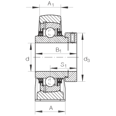 直立式軸承座單元 TSHE60-N, 鑄鐵軸承座，帶偏心鎖圈的外球面球軸承，T 型密封